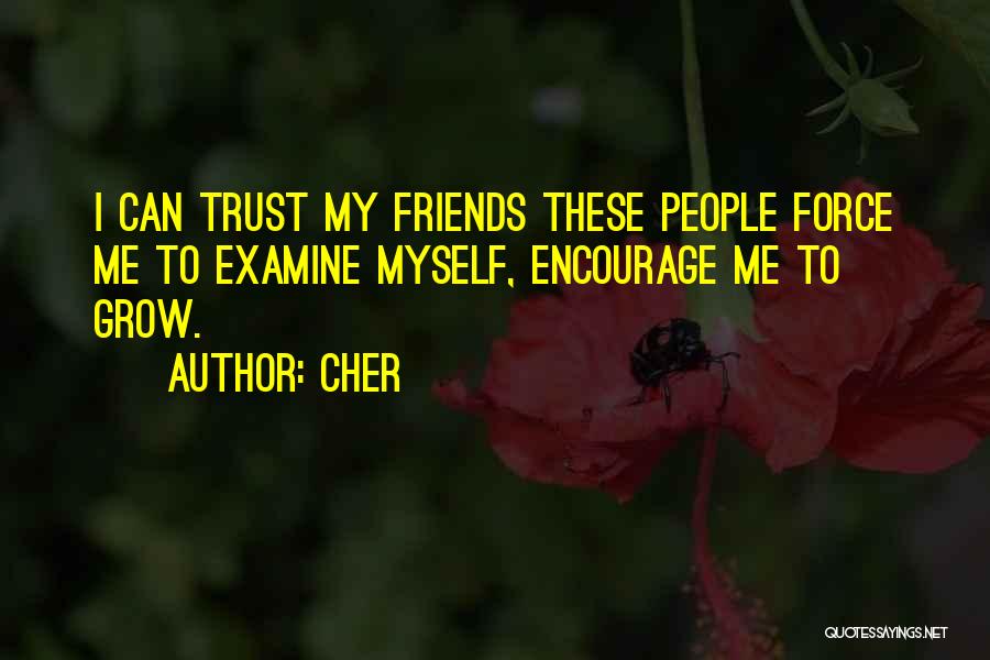 Trust To Friends Quotes By Cher