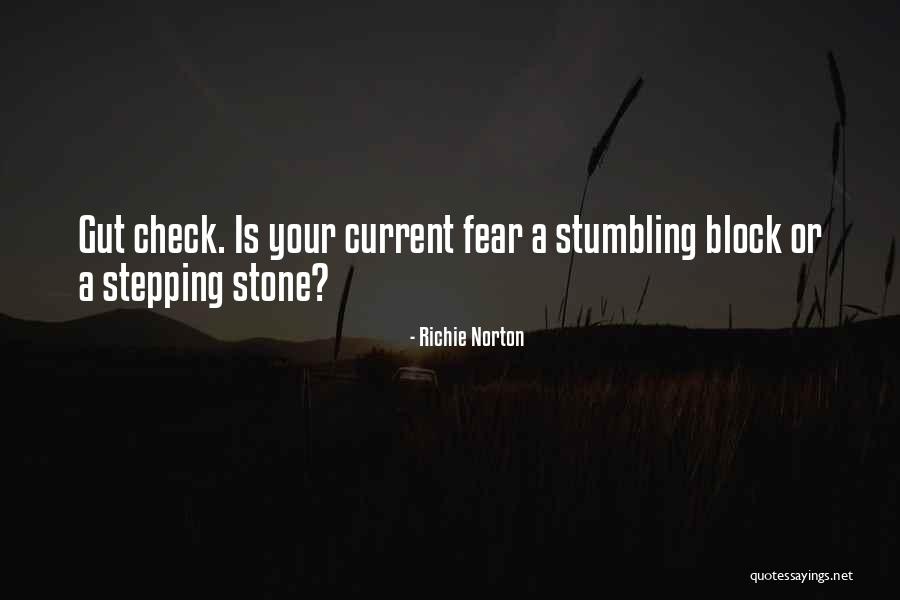 Trust Your Gut Quotes By Richie Norton Trust Your Gut Quotes By Richie Norton