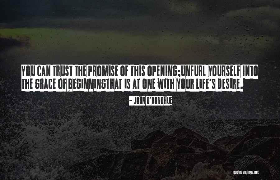 Trust Yourself Quotes By John O'Donohue Trust Yourself Quotes By John O'Donohue