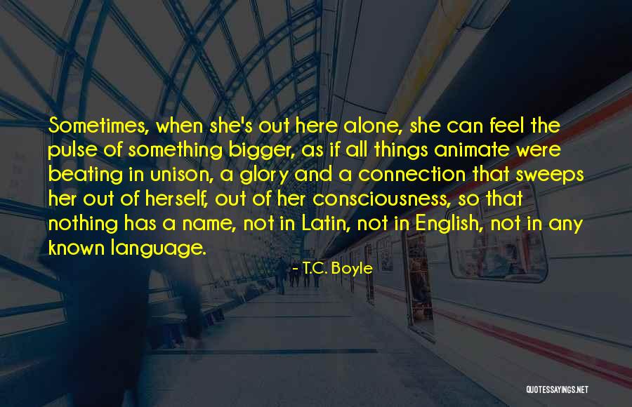 Trusteeship Model Quotes By T.C. Boyle Trusteeship Model Quotes By T.C. Boyle