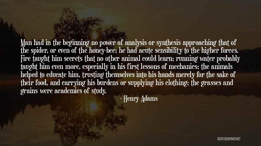 Trusting Quotes By Henry Adams