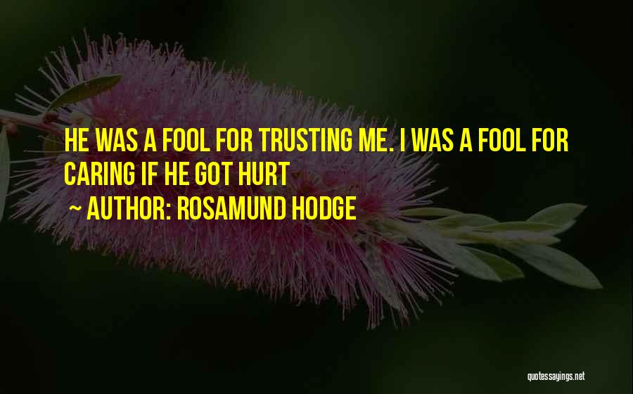Trusting Someone Who Has Hurt You Quotes By Rosamund Hodge