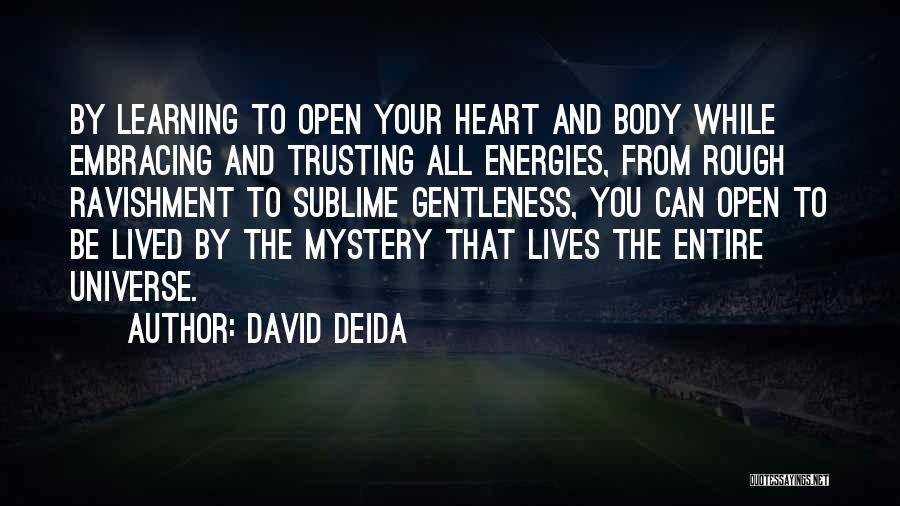 Trusting The Universe Quotes By David Deida