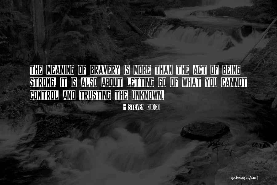 Trusting The Unknown Quotes By Steven Cuoco Trusting The Unknown Quotes By Steven Cuoco