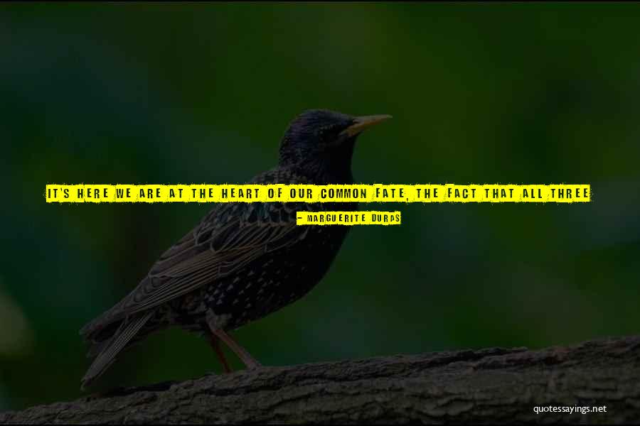 Trusting With Your Heart Quotes By Marguerite Duras Trusting With Your Heart Quotes By Marguerite Duras