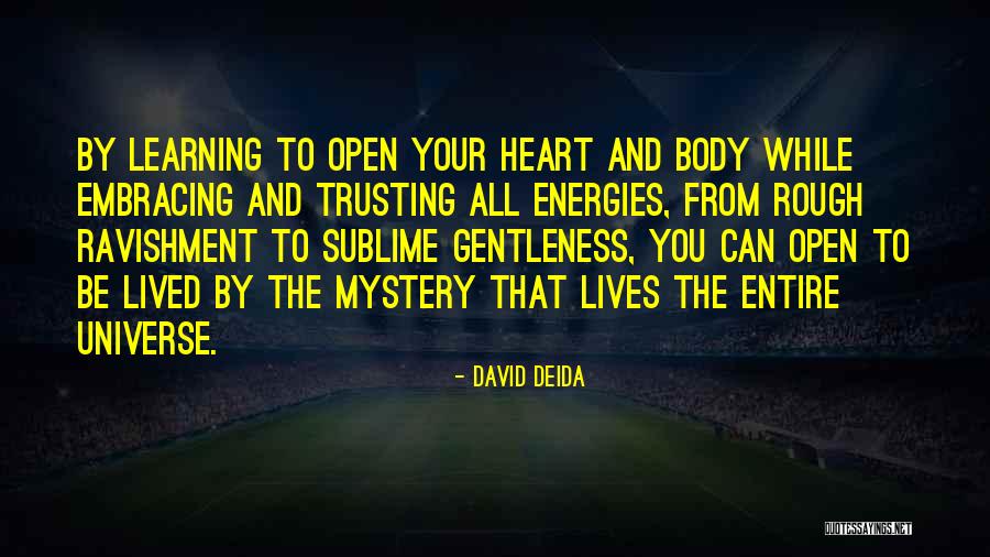 Trusting Your Heart Quotes By David Deida