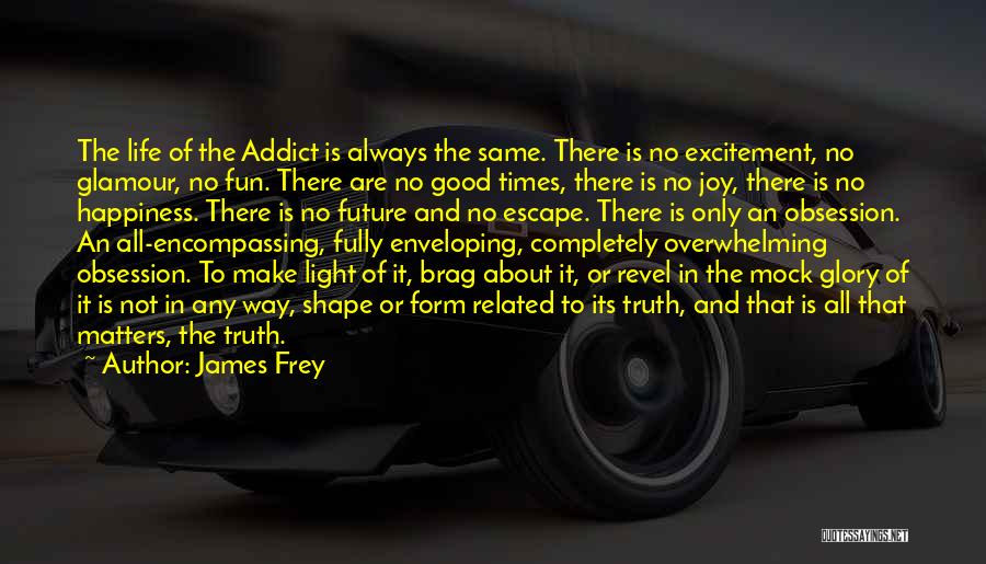 Truth About Happiness Quotes By James Frey