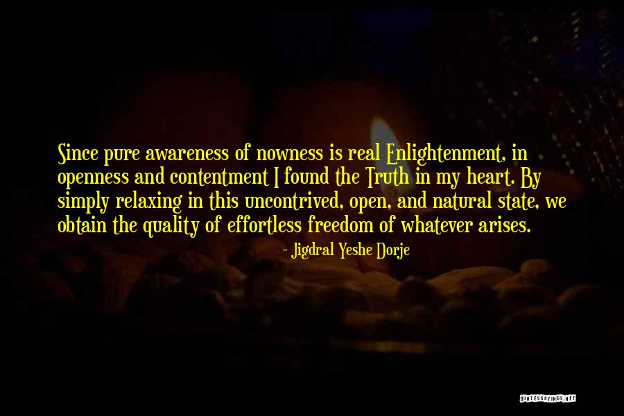 Truth And Openness Quotes By Jigdral Yeshe Dorje Truth And Openness Quotes By Jigdral Yeshe Dorje