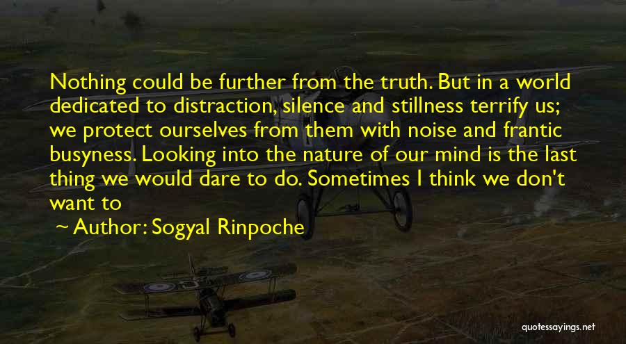 Truth And Silence Quotes By Sogyal Rinpoche