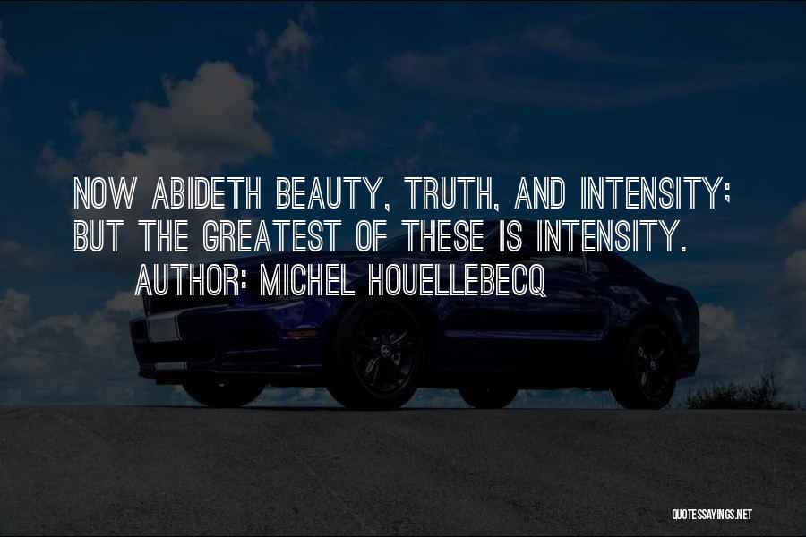 Truth Is Beauty Quotes By Michel Houellebecq