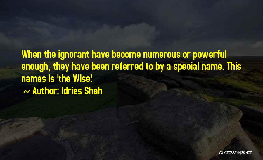 Truth Or False Quotes By Idries Shah