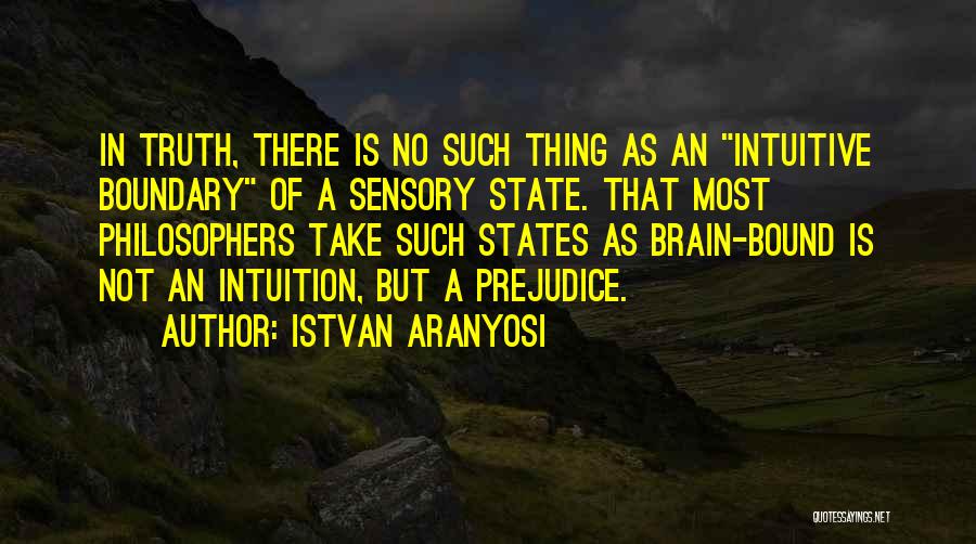 Truth Philosophers Quotes By Istvan Aranyosi