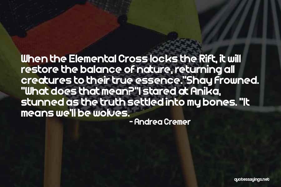 Truth What Does It Mean Quotes By Andrea Cremer Truth What Does It Mean Quotes By Andrea Cremer