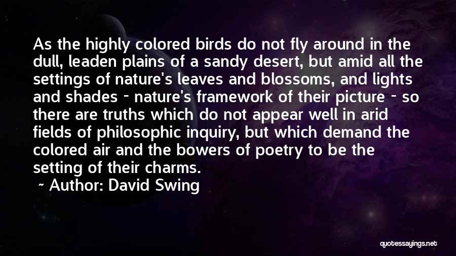 Truths Quotes By David Swing