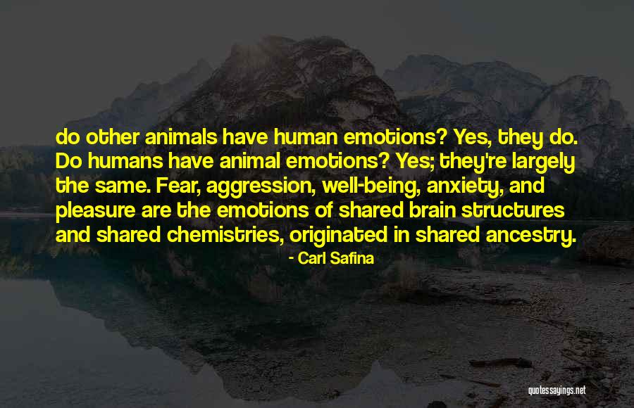 Trx Stock Quotes By Carl Safina Trx Stock Quotes By Carl Safina