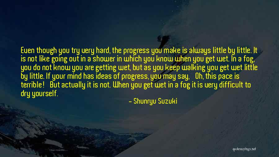 Try As You May Quotes By Shunryu Suzuki