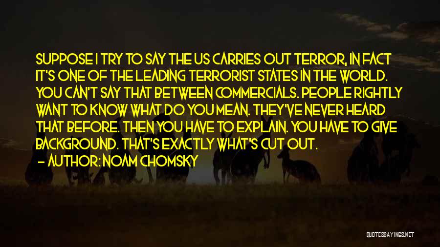 Try Before You Give Up Quotes By Noam Chomsky