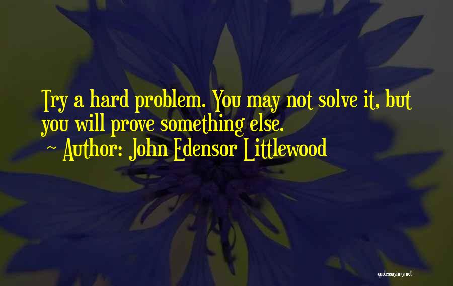 Try Something Else Quotes By John Edensor Littlewood