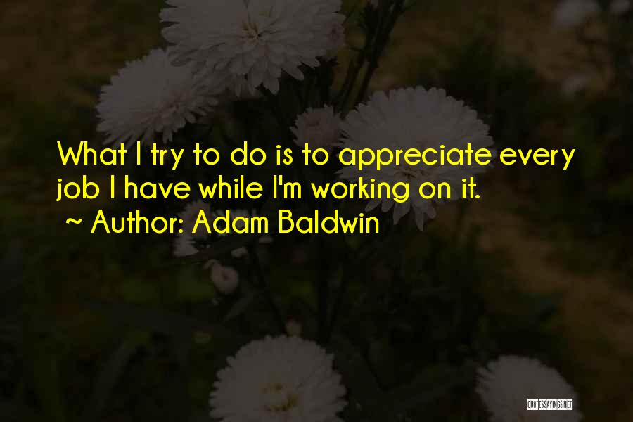 Try To Appreciate Quotes By Adam Baldwin