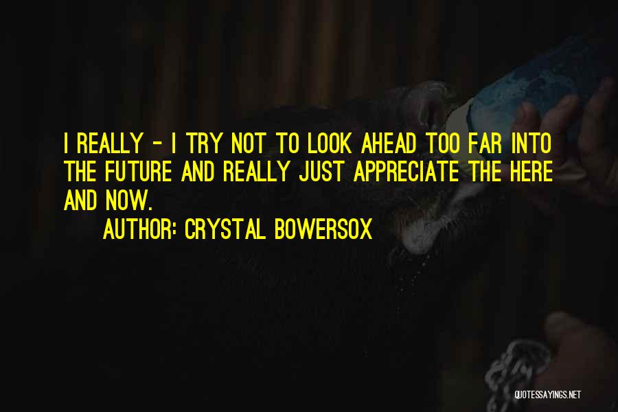Try To Appreciate Quotes By Crystal Bowersox