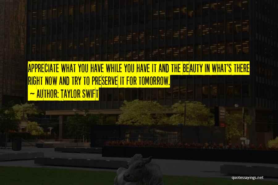 Try To Appreciate Quotes By Taylor Swift