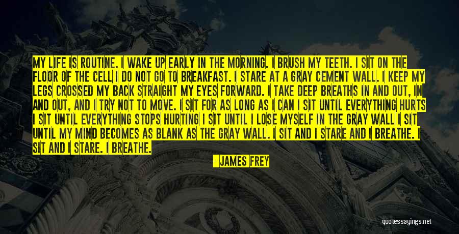 Try To Move On Quotes By James Frey Try To Move On Quotes By James Frey