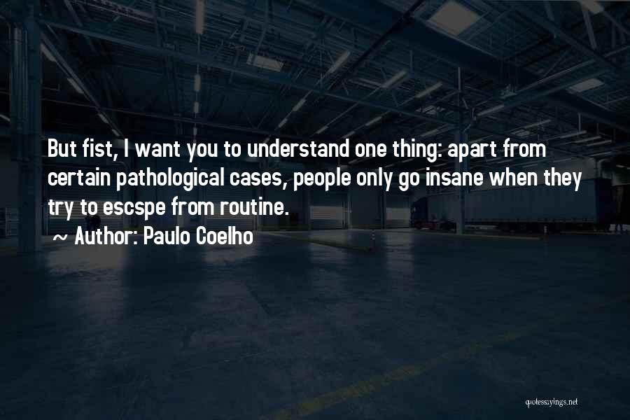 Try To Understand You Quotes By Paulo Coelho