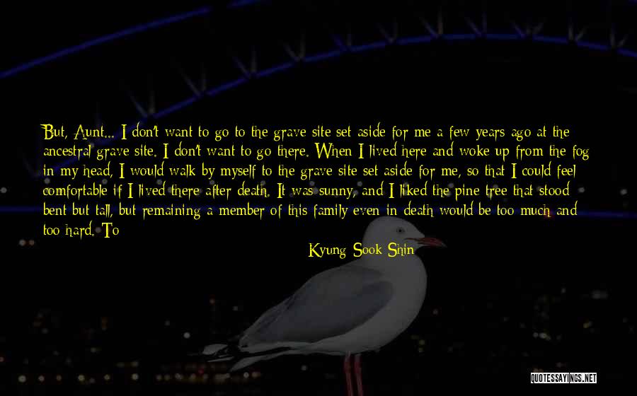 Try Too Hard Quotes By Kyung-Sook Shin Try Too Hard Quotes By Kyung-Sook Shin
