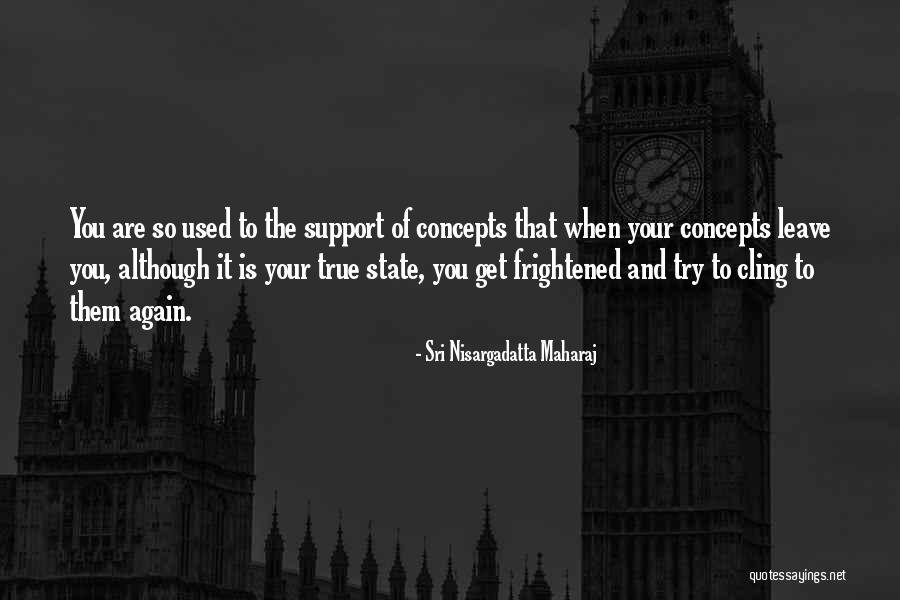 Trying Again And Again Quotes By Sri Nisargadatta Maharaj Trying Again And Again Quotes By Sri Nisargadatta Maharaj