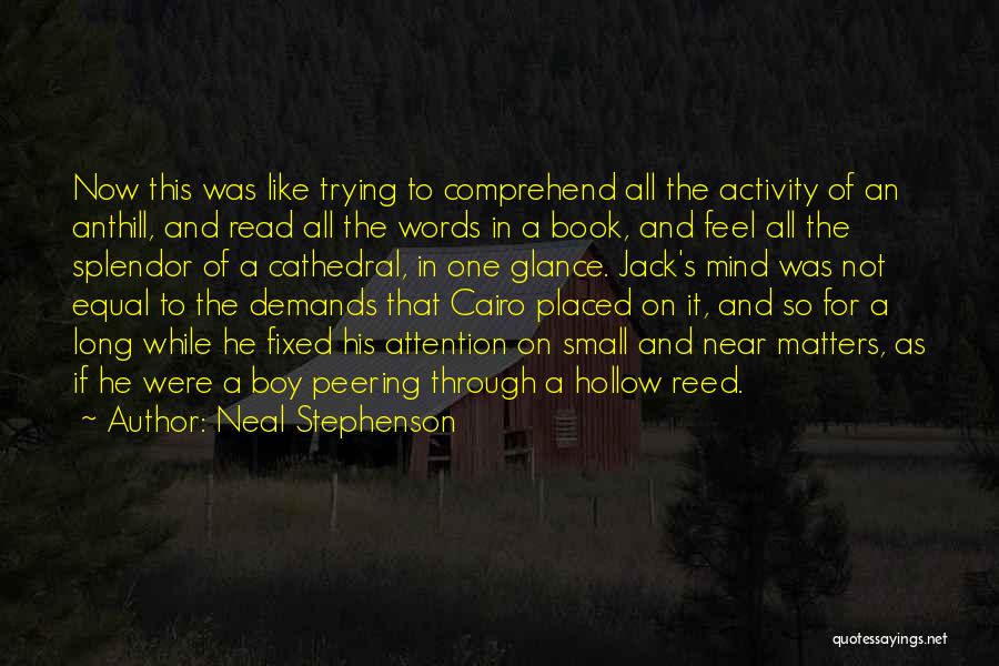 Trying For So Long Quotes By Neal Stephenson