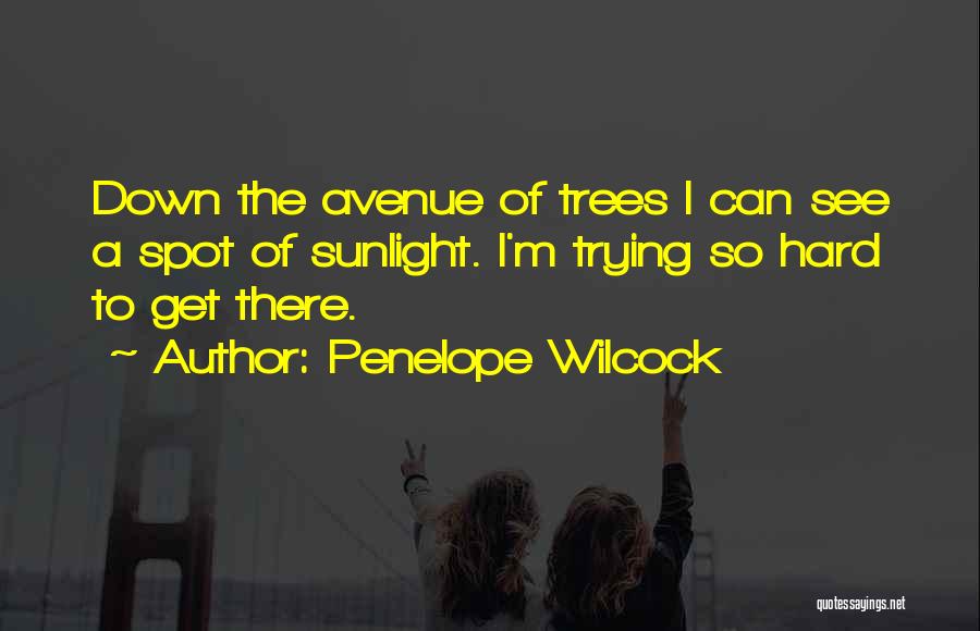Trying Hard To Get Someone Quotes By Penelope Wilcock