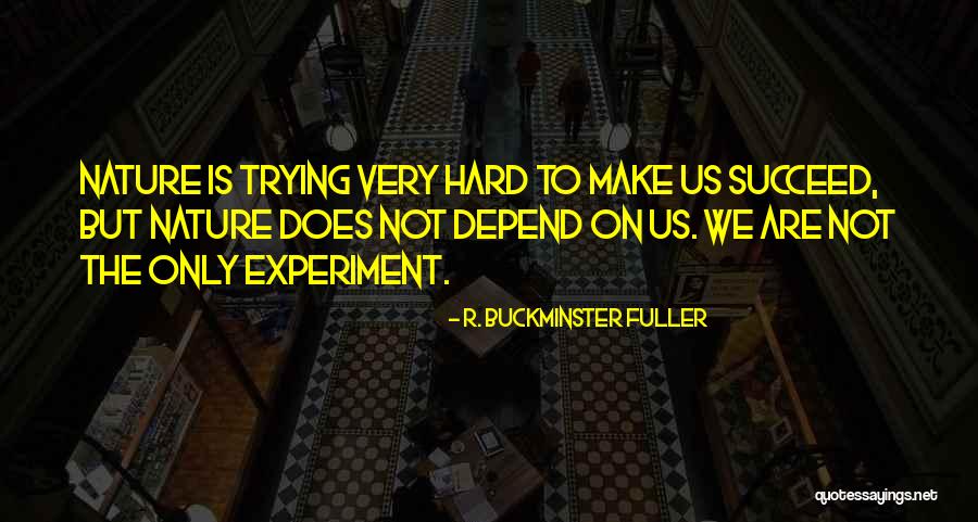 Trying Hard To Succeed Quotes By R. Buckminster Fuller Trying Hard To Succeed Quotes By R. Buckminster Fuller