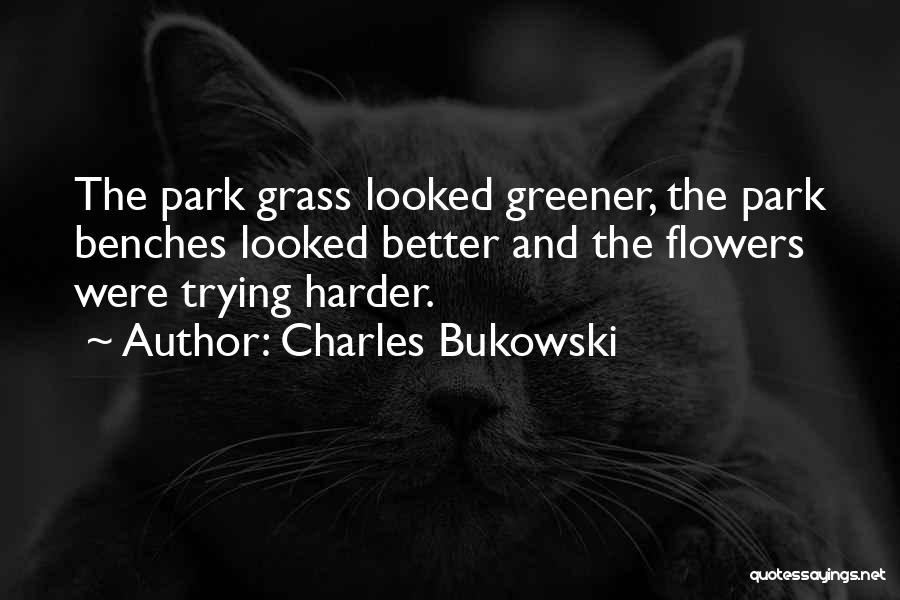 Trying Harder Quotes By Charles Bukowski