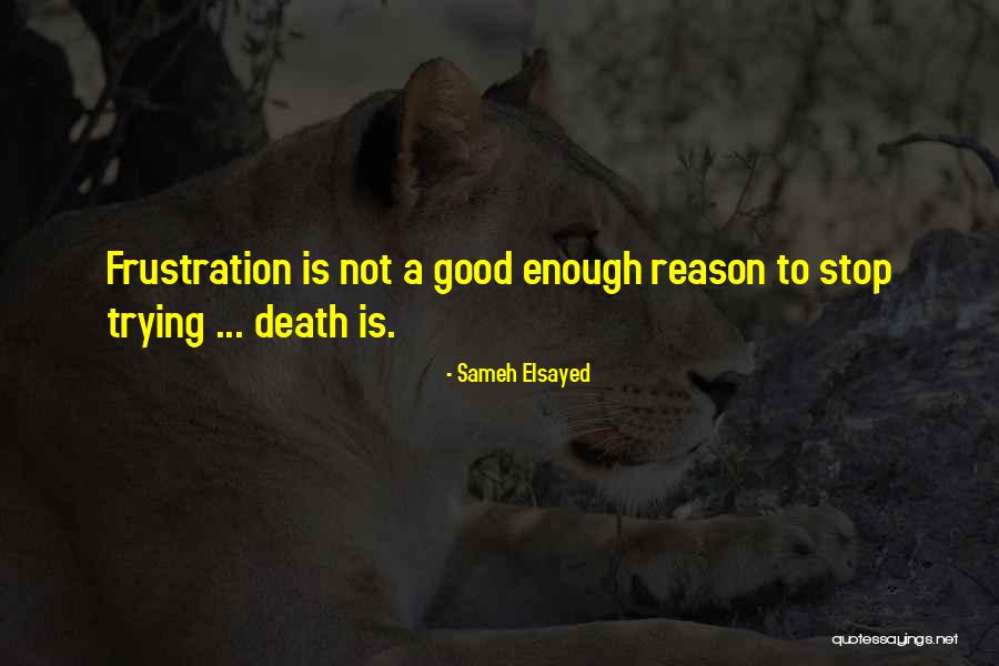 Trying Is Not Good Enough Quotes By Sameh Elsayed Trying Is Not Good Enough Quotes By Sameh Elsayed