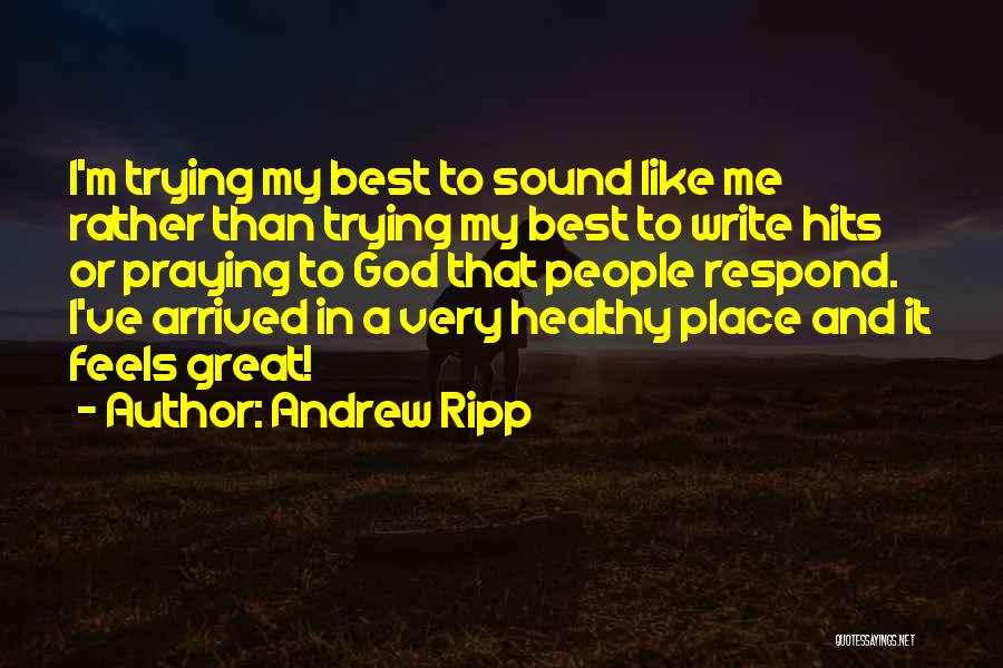 Trying My Best Quotes By Andrew Ripp