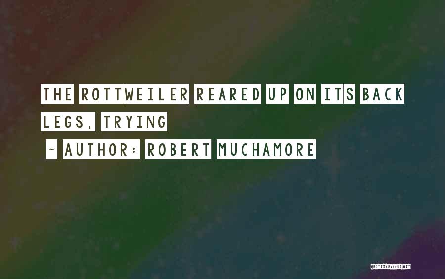 Trying Quotes By Robert Muchamore