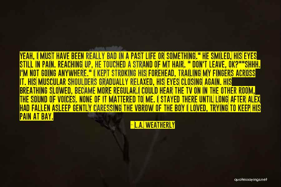 Trying Something Again Quotes By L.A. Weatherly Trying Something Again Quotes By L.A. Weatherly