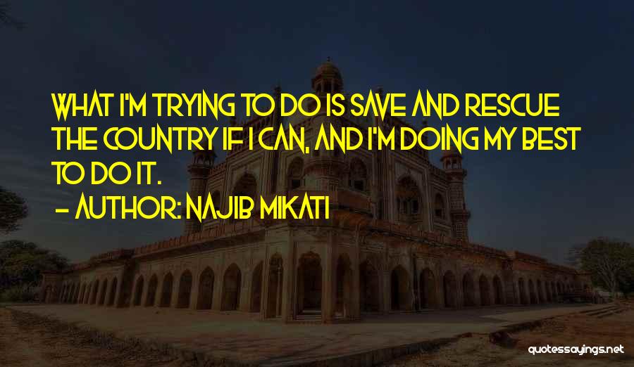 Trying The Best Quotes By Najib Mikati