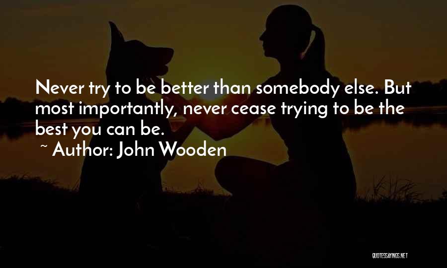 Trying The Best You Can Quotes By John Wooden