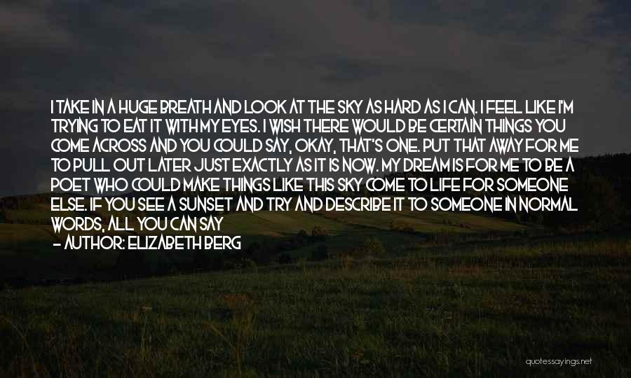 Trying Things Again Quotes By Elizabeth Berg