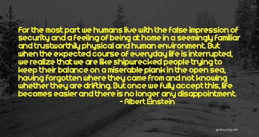 Trying To Balance Life Quotes By Albert Einstein