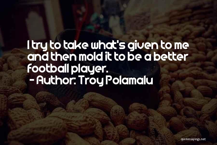 Trying To Be A Better Me Quotes By Troy Polamalu