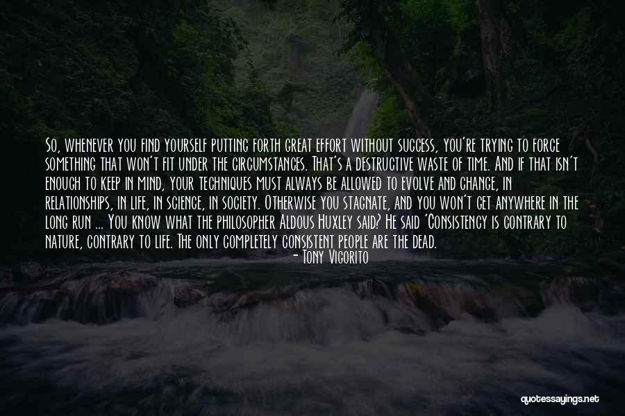 Trying To Be Fit Quotes By Tony Vigorito Trying To Be Fit Quotes By Tony Vigorito