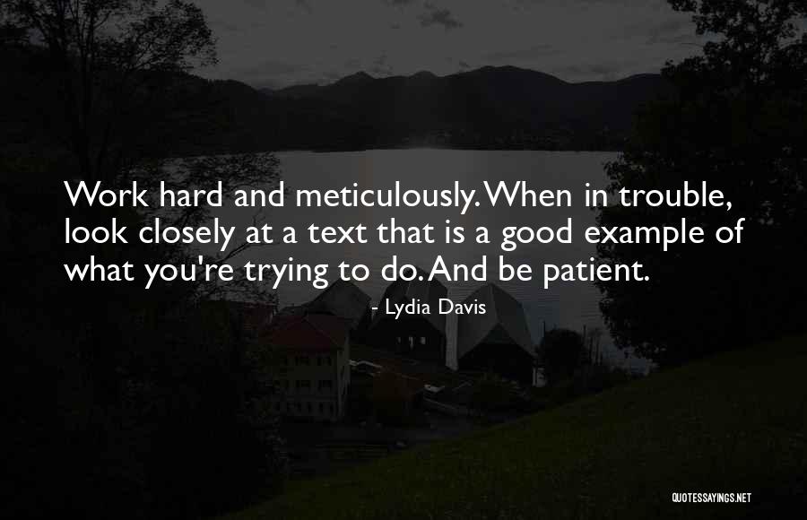 Trying To Be Patient Quotes By Lydia Davis Trying To Be Patient Quotes By Lydia Davis