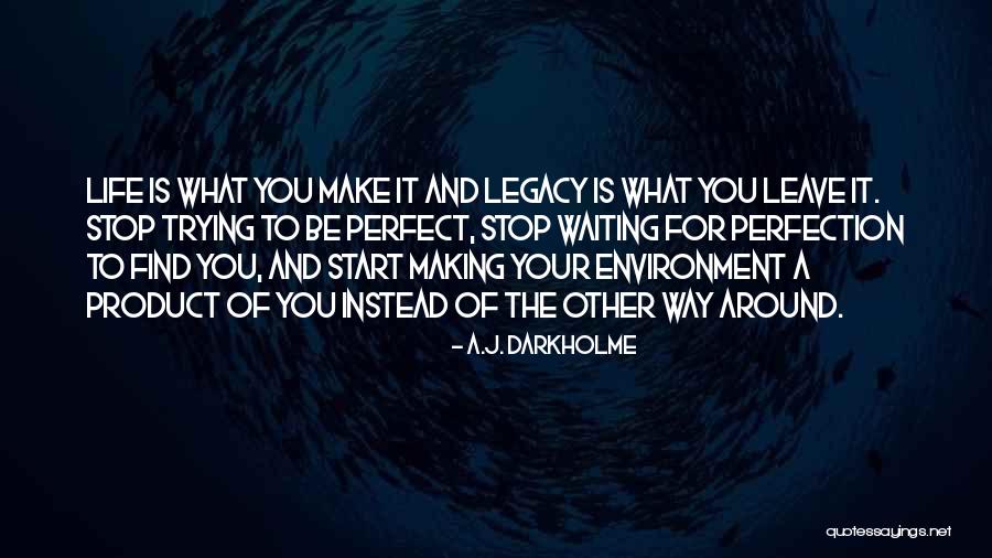 Trying To Be Perfect Quotes By A.J. Darkholme Trying To Be Perfect Quotes By A.J. Darkholme