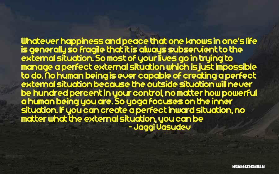 Trying To Be Perfect Quotes By Jaggi Vasudev