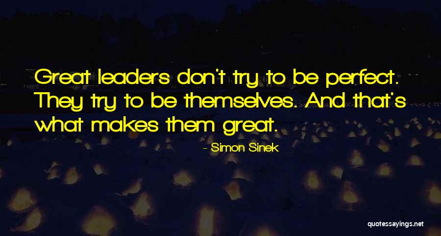 Trying To Be Perfect Quotes By Simon Sinek