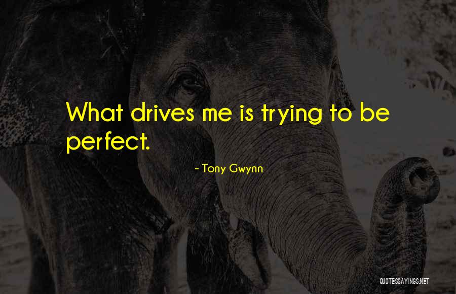 Trying To Be Perfect Quotes By Tony Gwynn