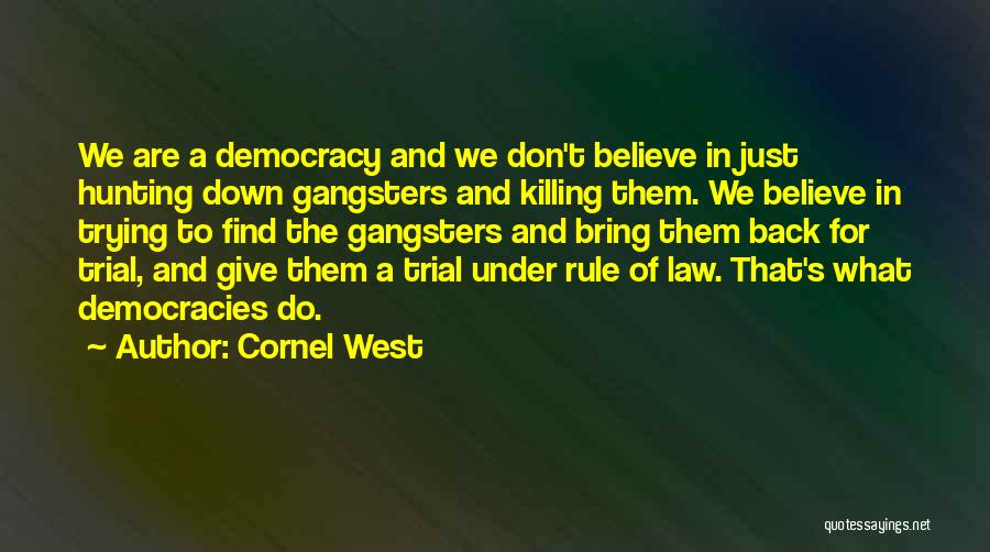Trying To Bring Me Down Quotes By Cornel West