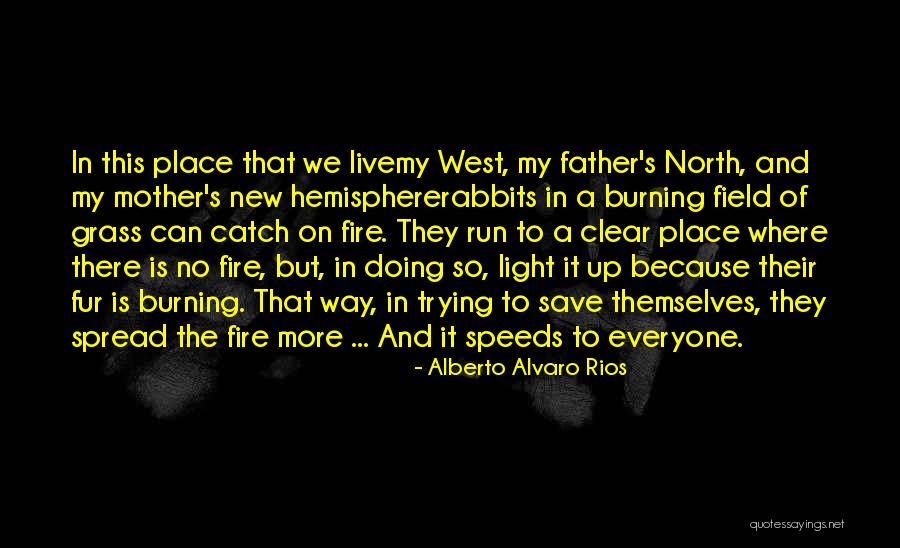 Trying To Catch Up Quotes By Alberto Alvaro Rios Trying To Catch Up Quotes By Alberto Alvaro Rios